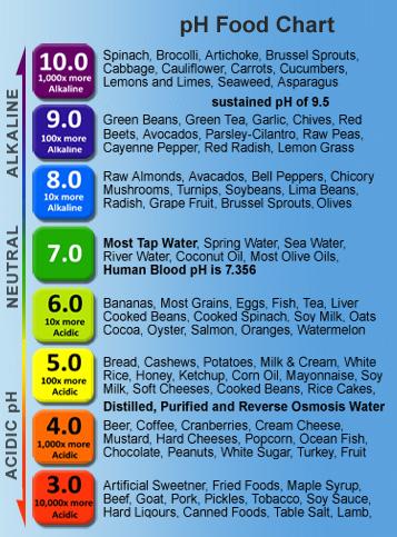 Blood Type 0 Food Chart